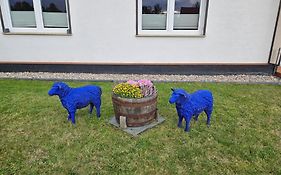 Ferienwohnung Zu Den Blauen Schafen